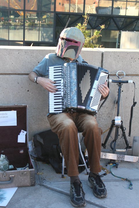 Accordion Fett