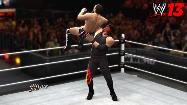 WWE '13 action.