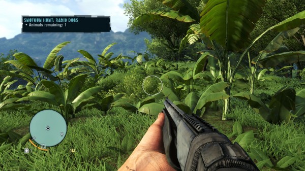 Far Cry 3